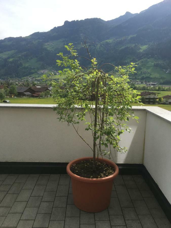 Ferienwohnung Walder Mayrhofen Ngoại thất bức ảnh